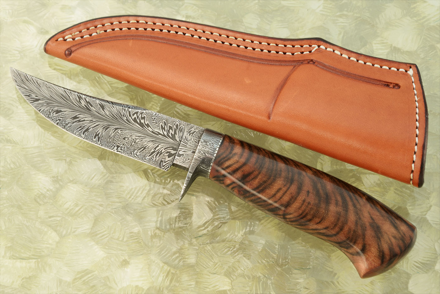 Damascus Clip Point Hunter with Tiger Myrtlewood