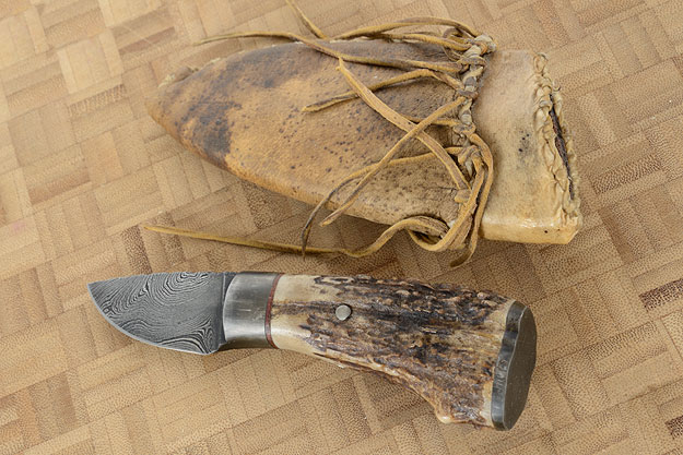 Damascus Caping Knife with Stag