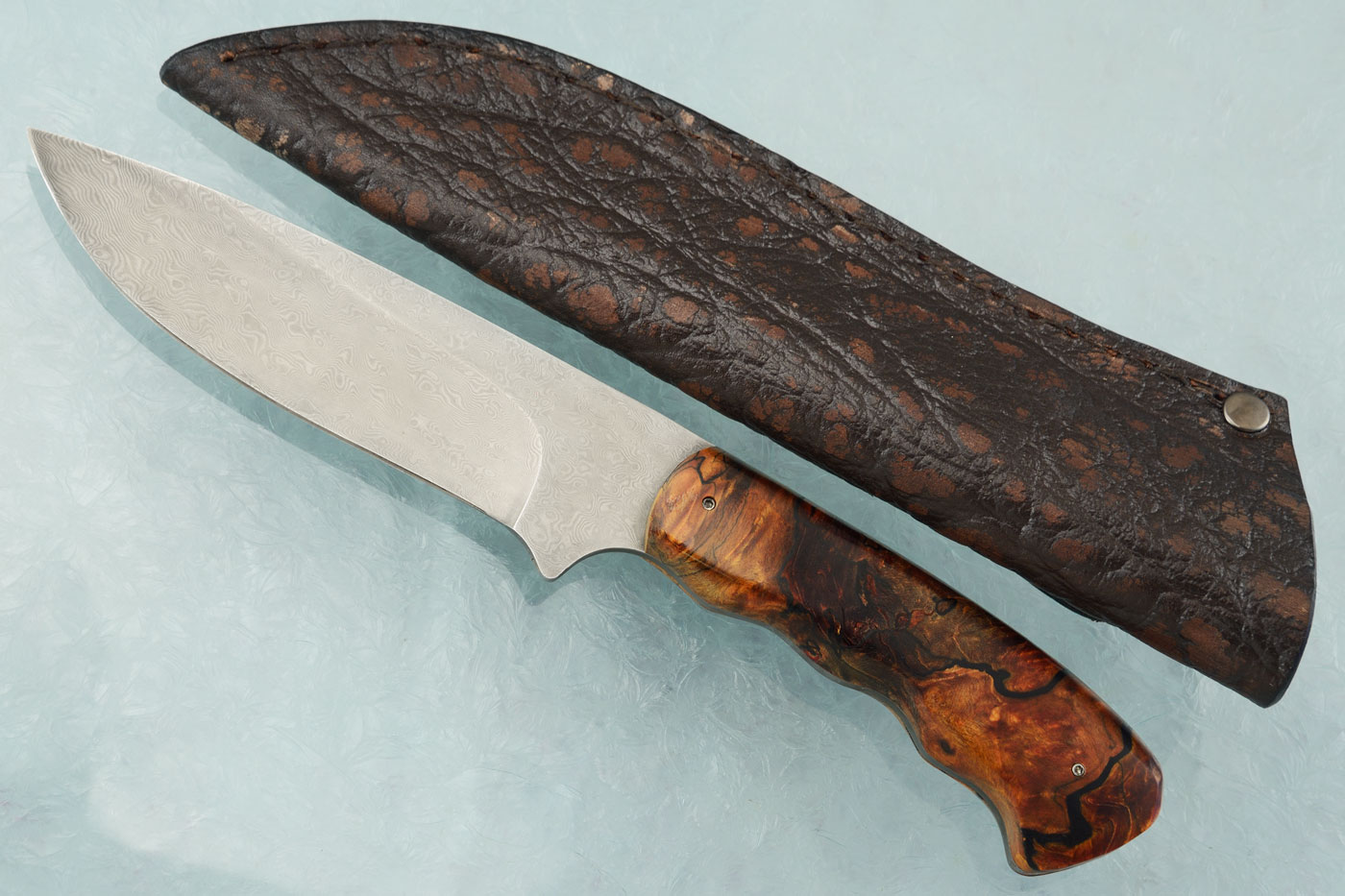 Damascus Drop Point Hunter with Spalted Maple Burl